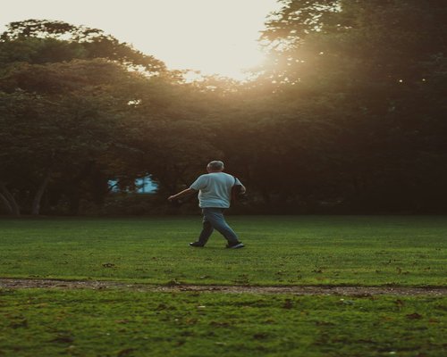 Person walking in a green park during late afternoon golden hour